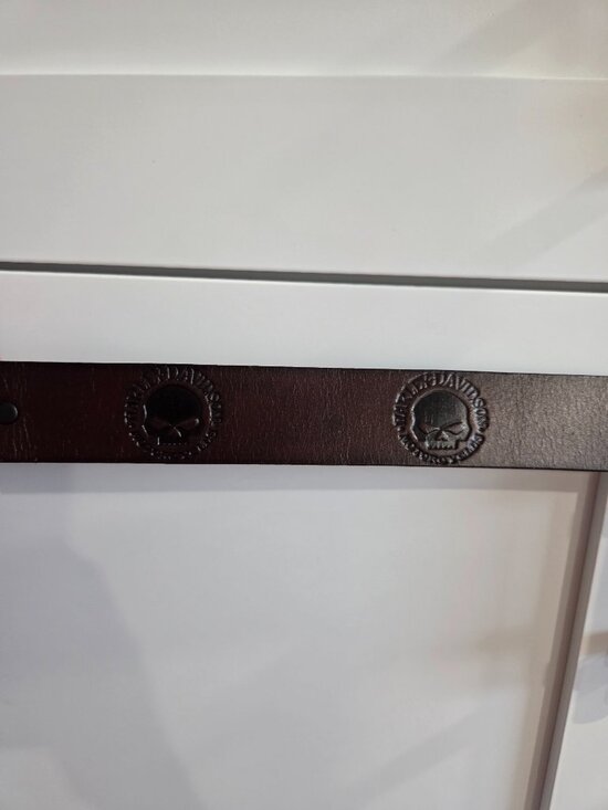 Harley Davidson Belt